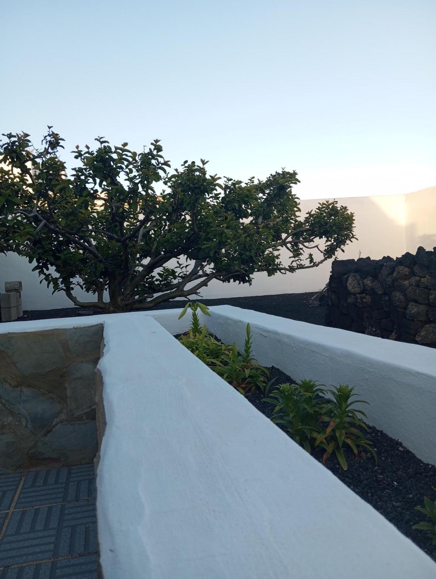 Casa Siempreviva Βίλα Teguise  Εξωτερικό φωτογραφία