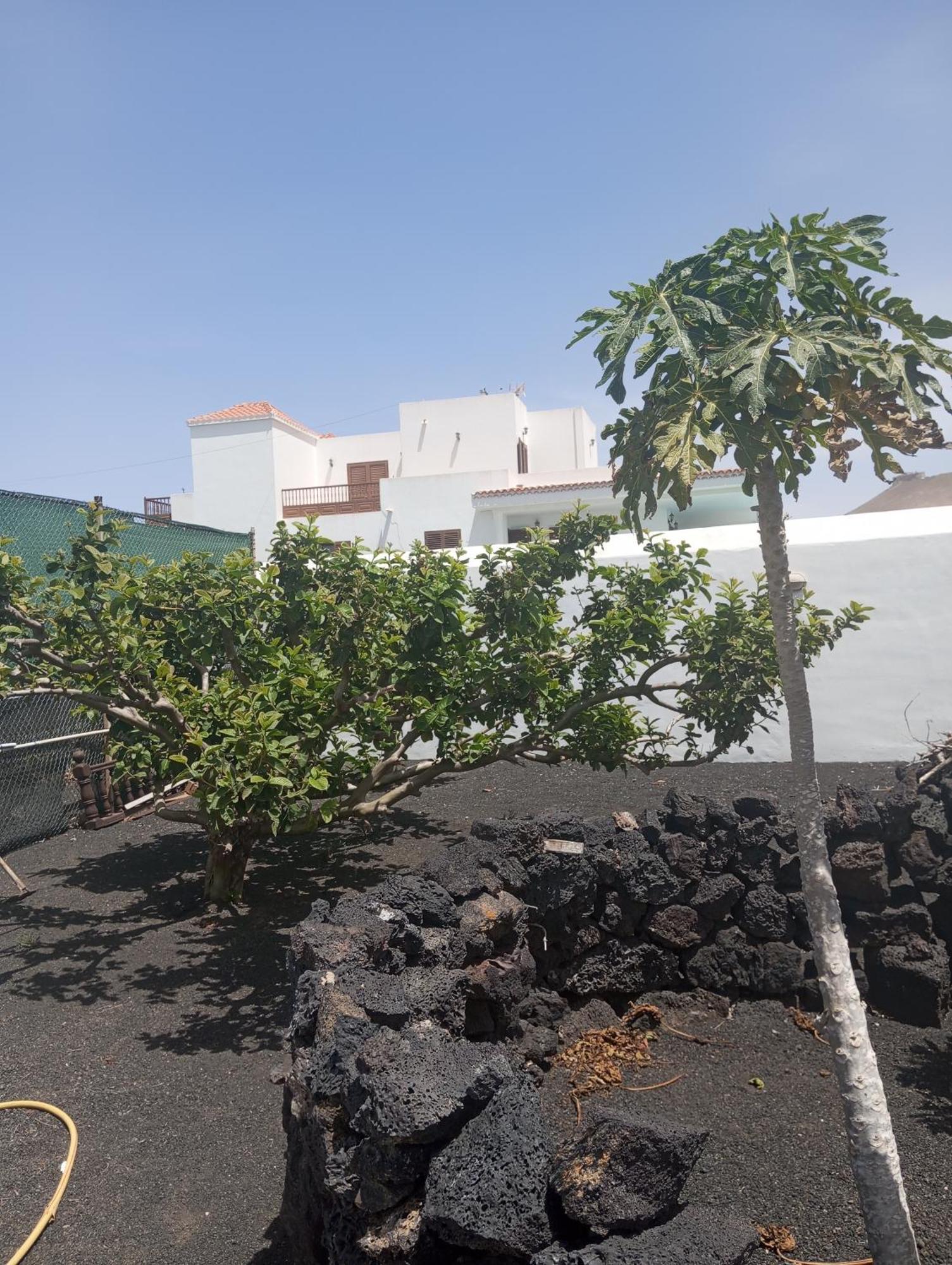 Casa Siempreviva Βίλα Teguise  Εξωτερικό φωτογραφία