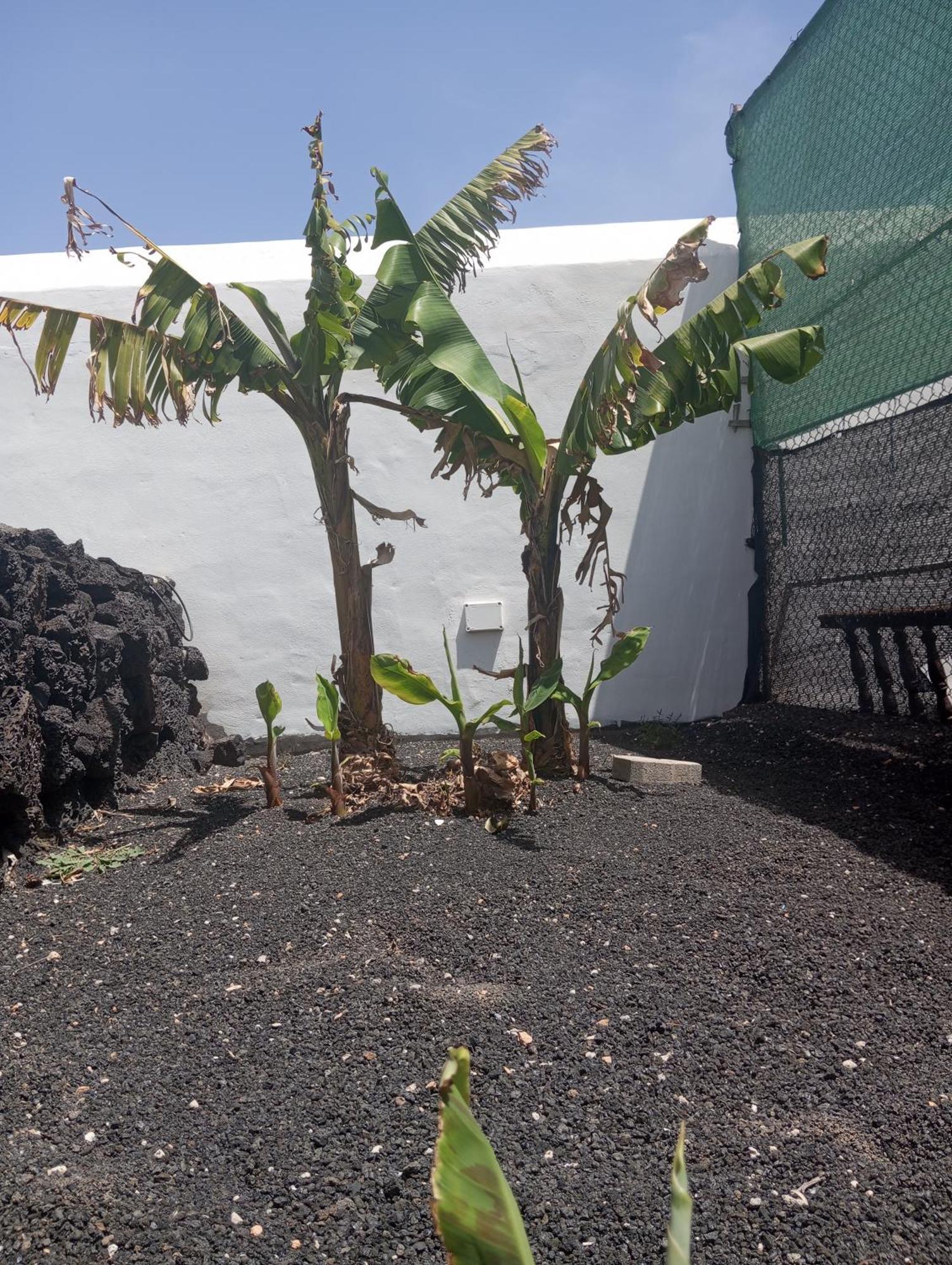 Casa Siempreviva Βίλα Teguise  Εξωτερικό φωτογραφία